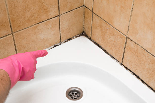 Best Mold Testing  in Millville, NJ